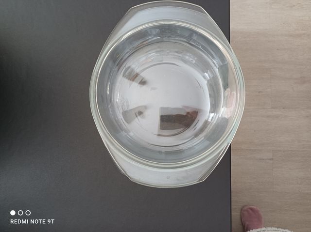 contenitore in vetro da forno