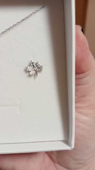conjunto de plata 