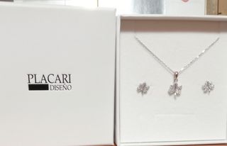 conjunto de plata 