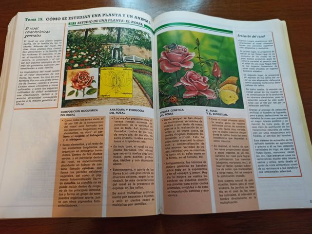 Libro de NATURALEZA de 8º de EGB SANTILLANA