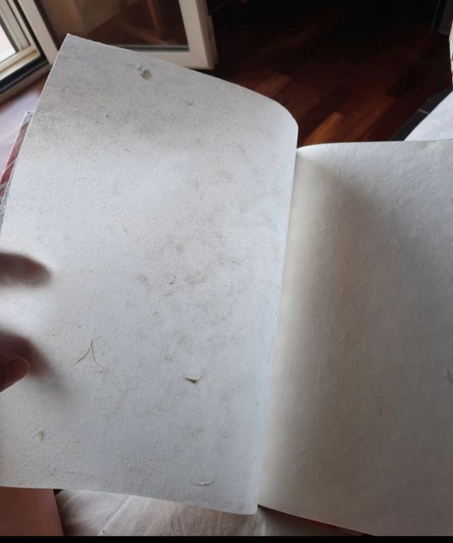 Set Album fotografie più quadernino NUOVO