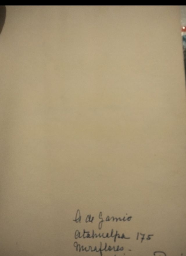 El pastorcito de los Andes