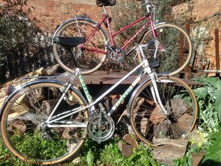  bicicleta clasica orbea y torrot