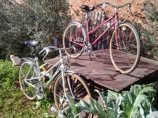  bicicleta clasica orbea y torrot