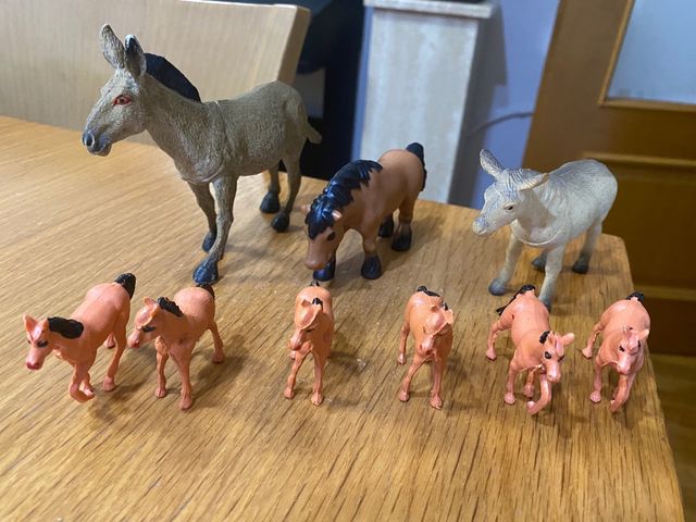 Manada de Caballos y burro