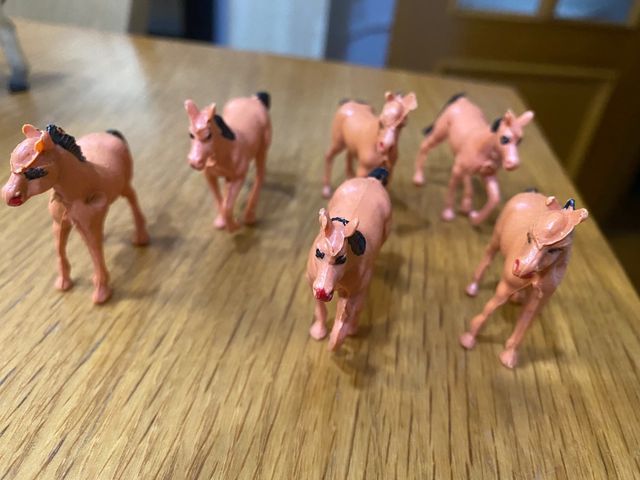 Manada de Caballos y burro