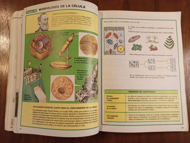 Libro de CIENCIAS NATURALES de 1º de BUP