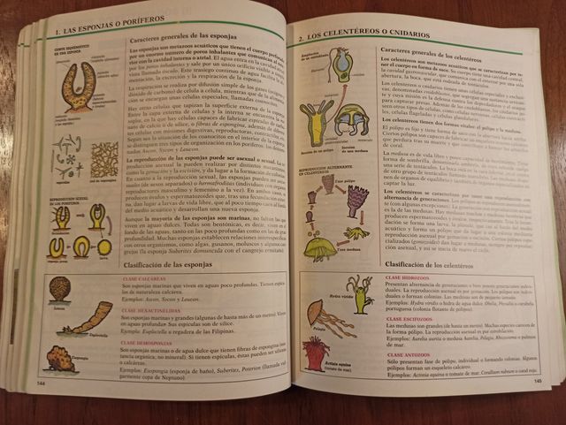 Libro de CIENCIAS NATURALES de 1º de BUP