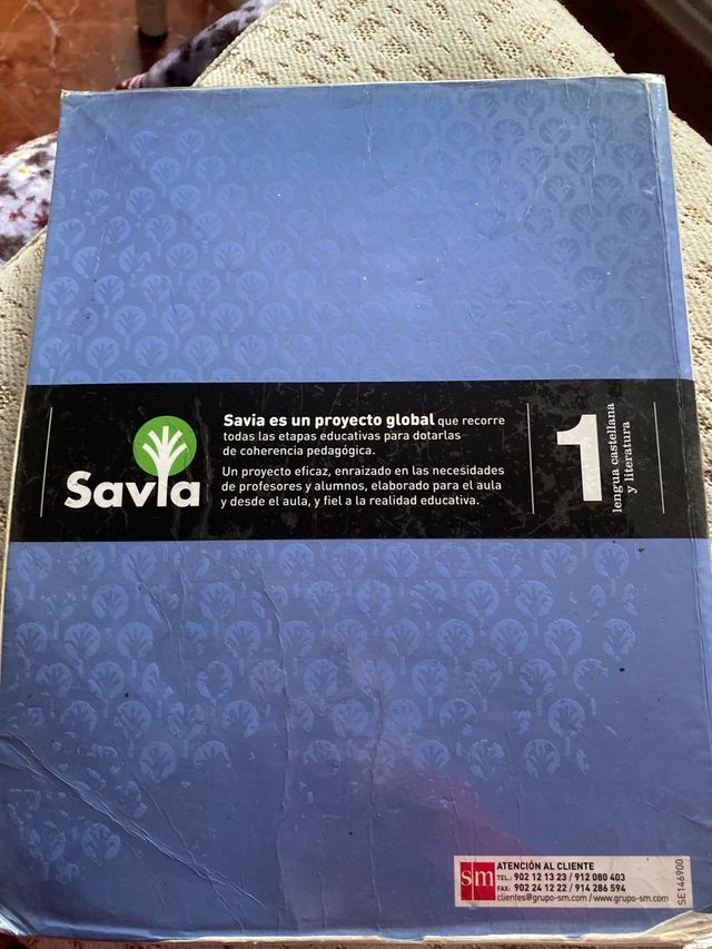 Lengua castellana y literatura 1 de bachillerato