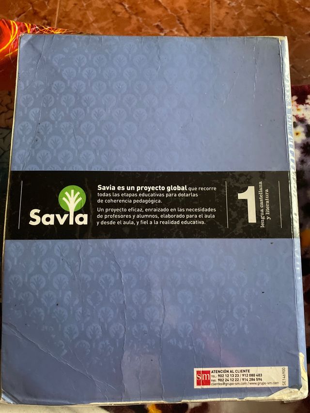 Lengua castellana y literatura 1 de bachillerato