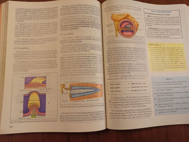 Libro de CIENCIAS NATURALES de 3º de BUP