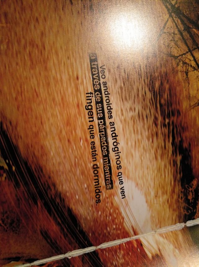 Vision thing, de Diego Latorre