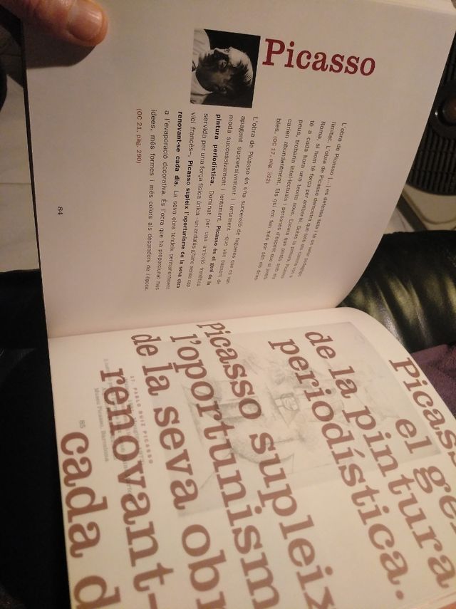 Josep Pla i els homenots artistes