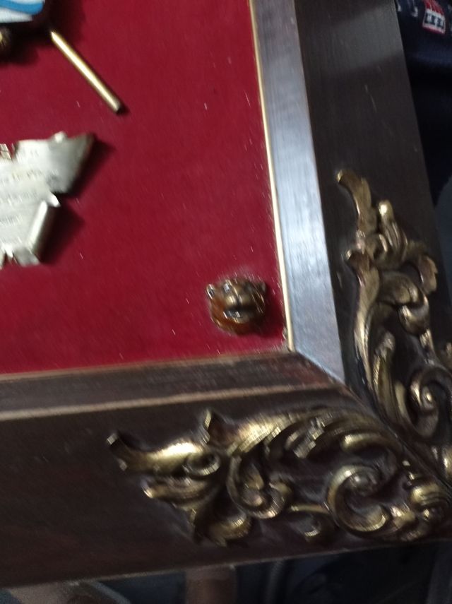 escudo, cuadro Marin