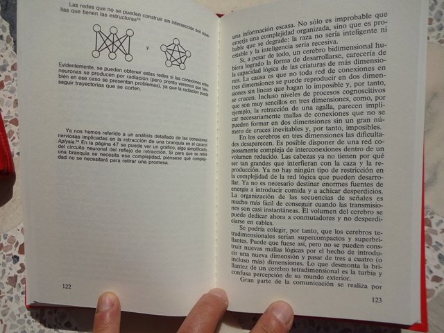 Libro Novela con titulo La Creación P. W. Atkins