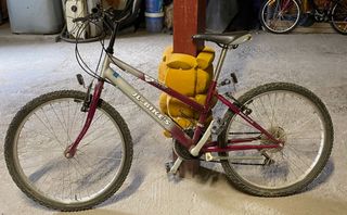 BICICLETA 