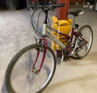 BICICLETA 