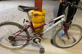 BICICLETA 