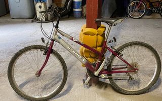 BICICLETA 