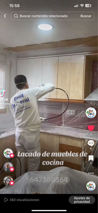 Pintor Económico