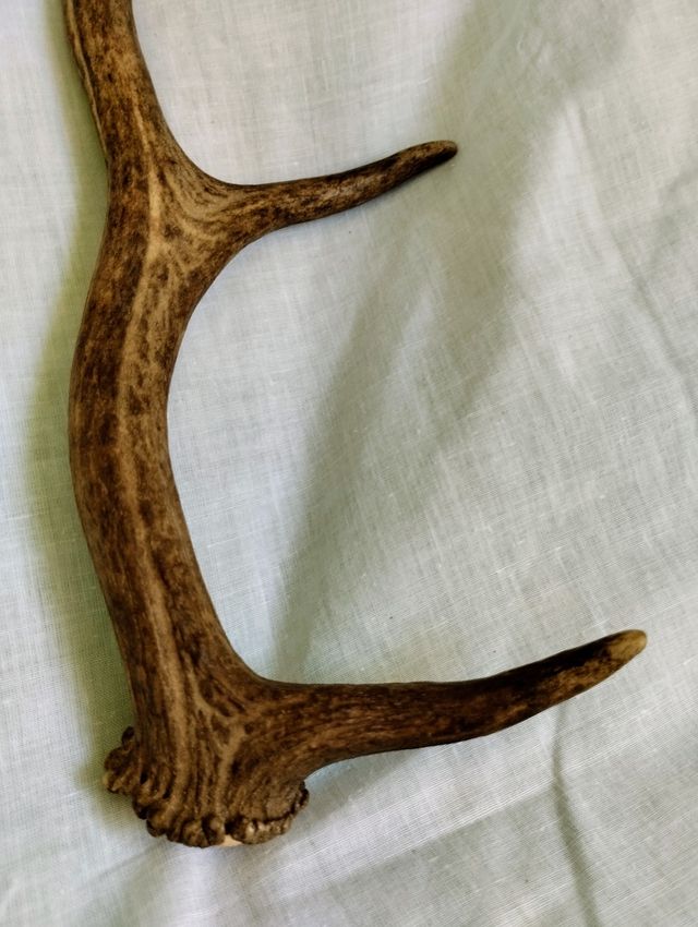 Bolillos antiguos de madera y otros