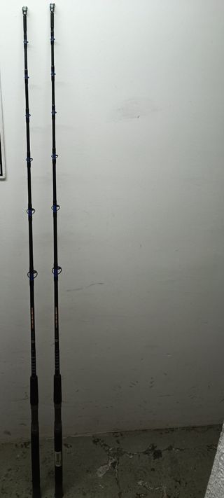 CANNA EVIA PER PESCA ALLA TRAINA DA 50 LIBBRE A 1 SEZIONE
