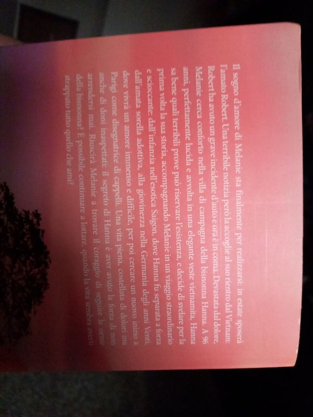 La signora dei gelsomini di Corina Bomann