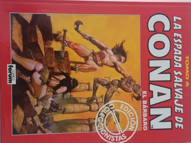 La Espada Salvaje de Conan