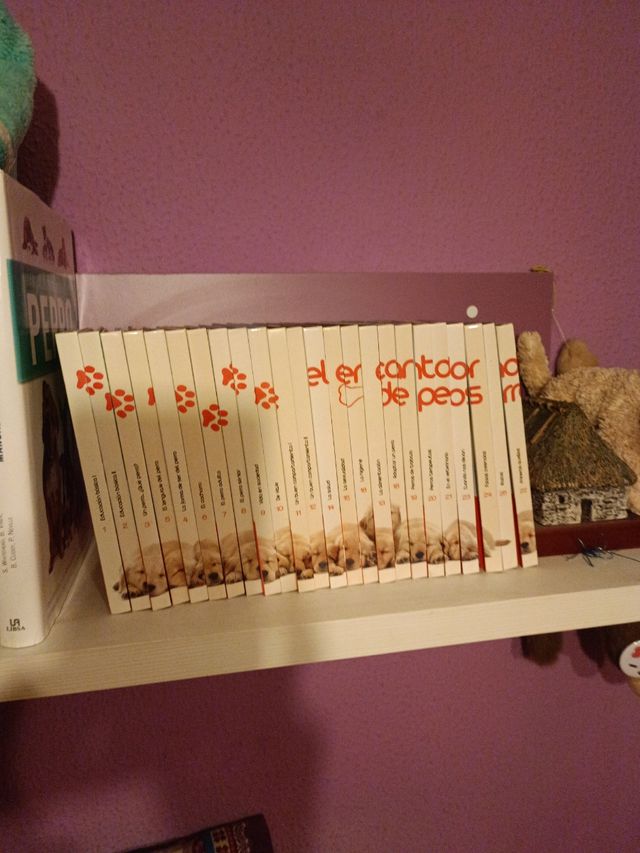 25  libros.tomos  del encantador de perros