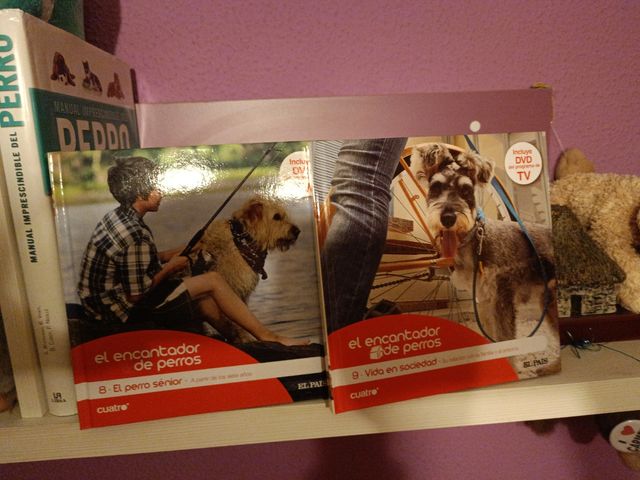 25  libros.tomos  del encantador de perros