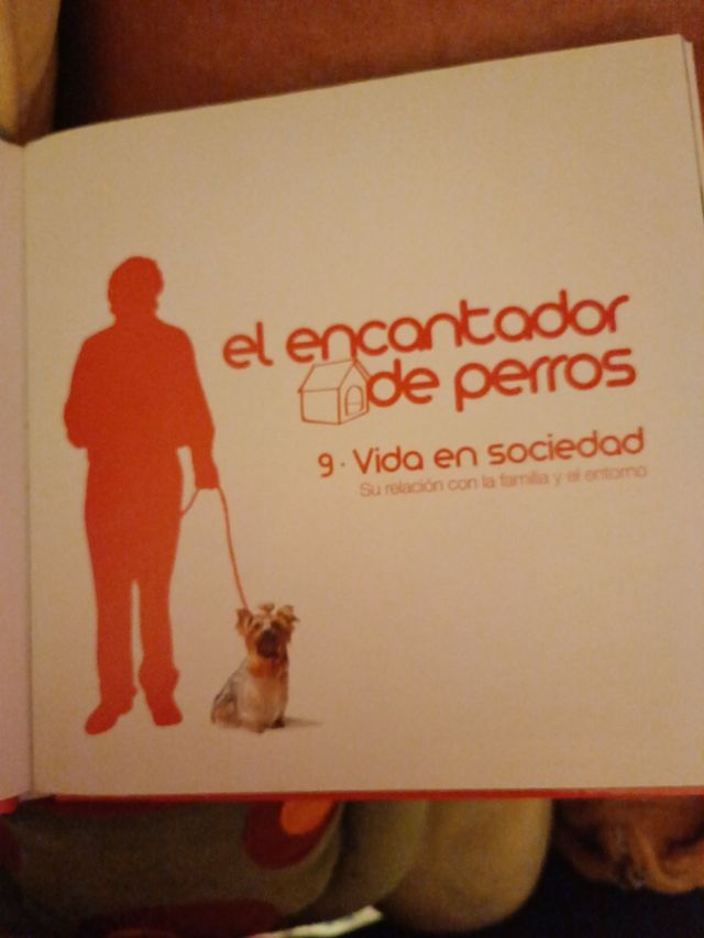 25  libros.tomos  del encantador de perros