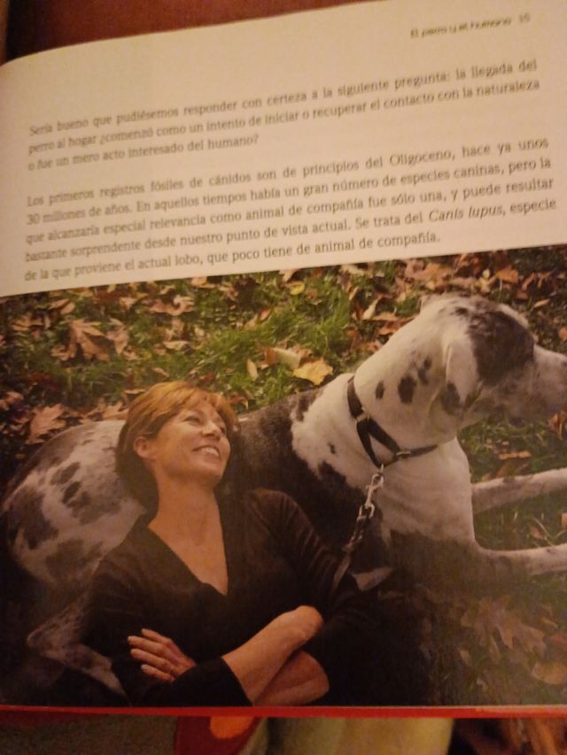 25  libros.tomos  del encantador de perros