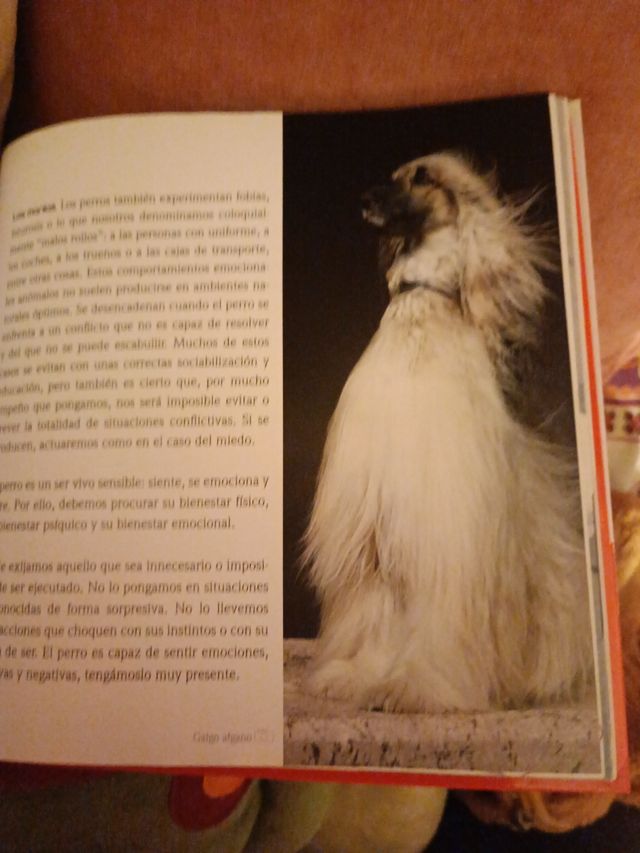 25  libros.tomos  del encantador de perros