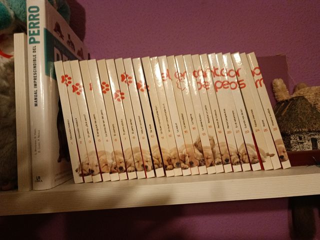 25  libros.tomos  del encantador de perros