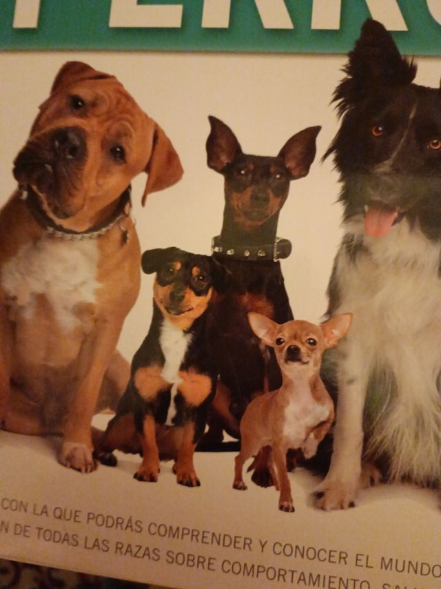 libro imprescindible para tener un perro