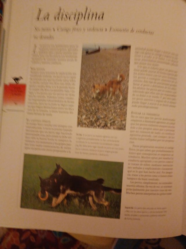 libro imprescindible para tener un perro