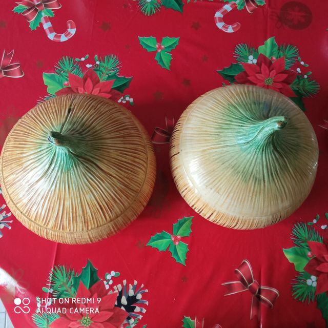 ciotole a forma di zucca