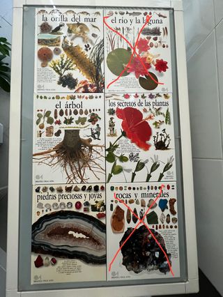 BIBLIOTECA VISUAL ALTEA Y DICCIONARIO ANIMALES