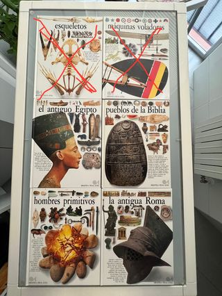 BIBLIOTECA VISUAL ALTEA Y DICCIONARIO ANIMALES