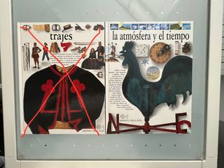 BIBLIOTECA VISUAL ALTEA Y DICCIONARIO ANIMALES