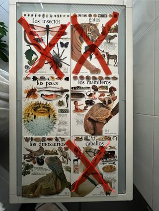 BIBLIOTECA VISUAL ALTEA Y DICCIONARIO ANIMALES