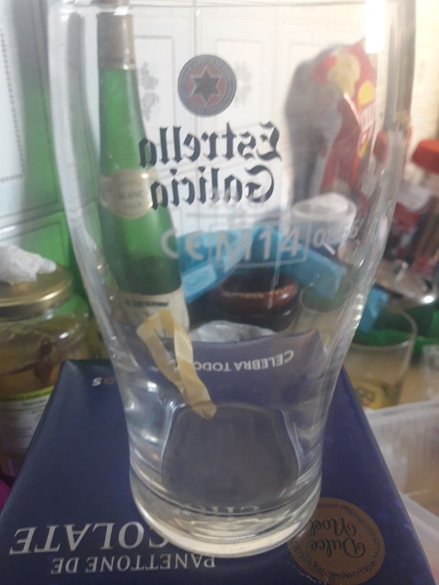 Canna Estrella de Galicia.