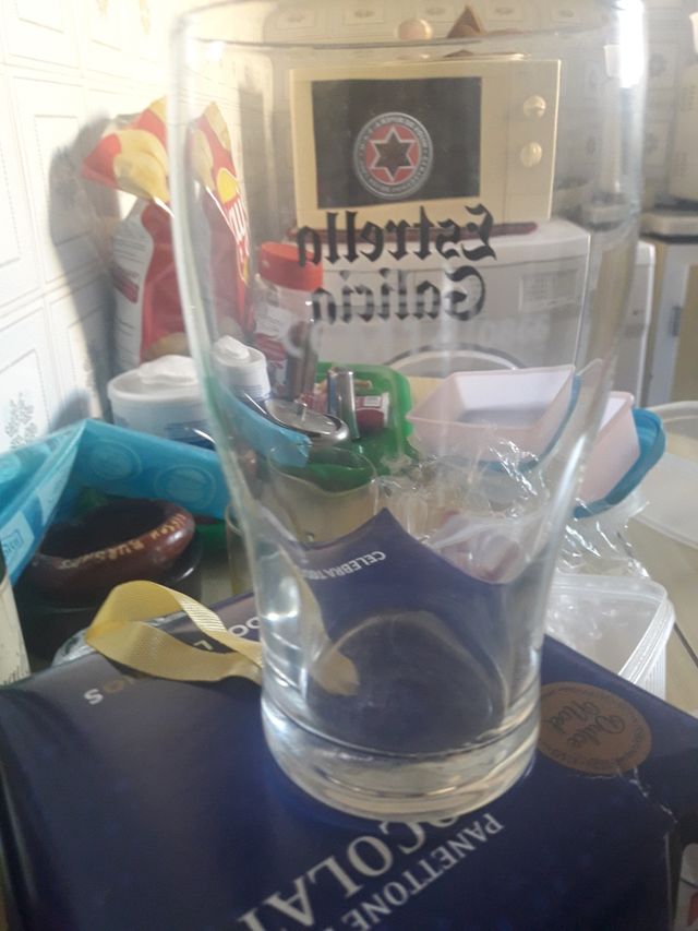 Canna Estrella de Galicia.