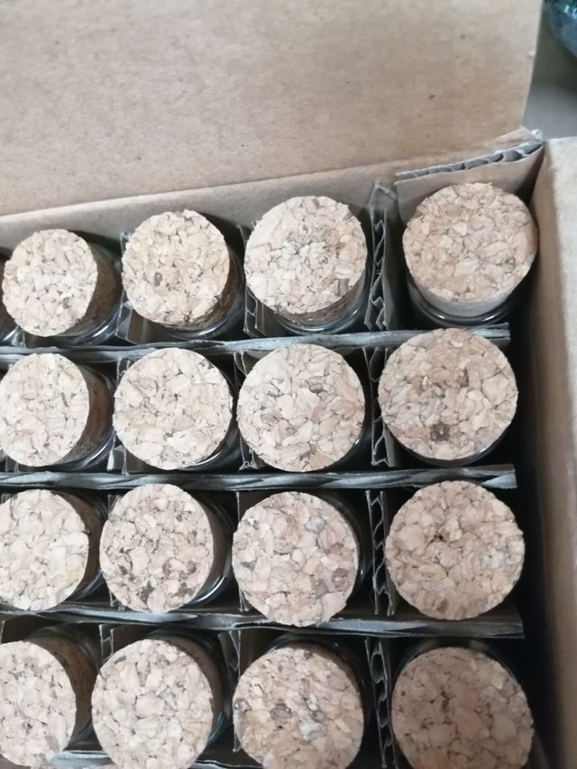 ampolla in vetro con tappo in sughero 12x2cm nuova