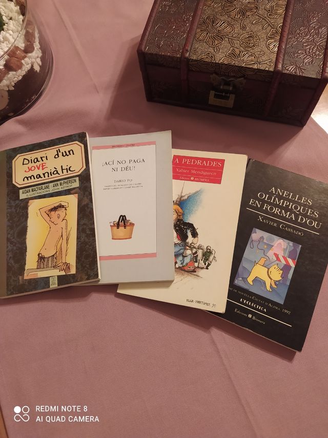 LOTE LIBROS VALENCIANO