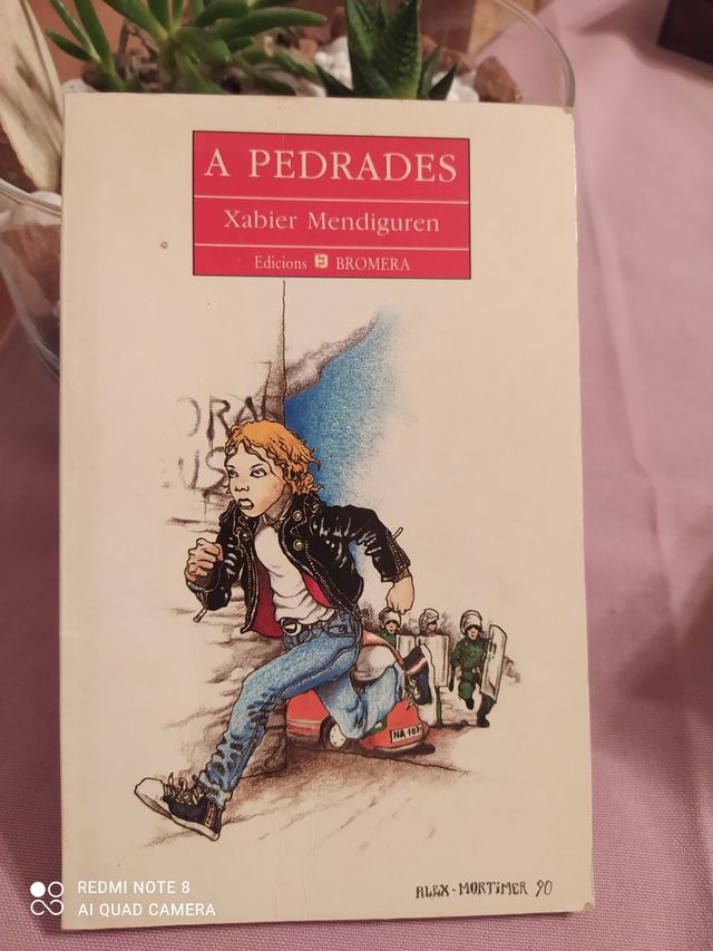 LOTE LIBROS VALENCIANO