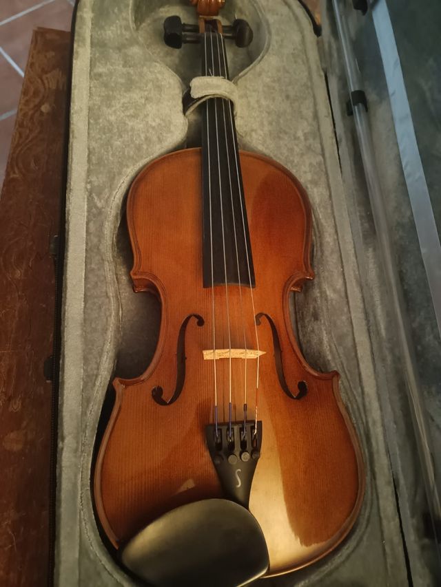 Viola