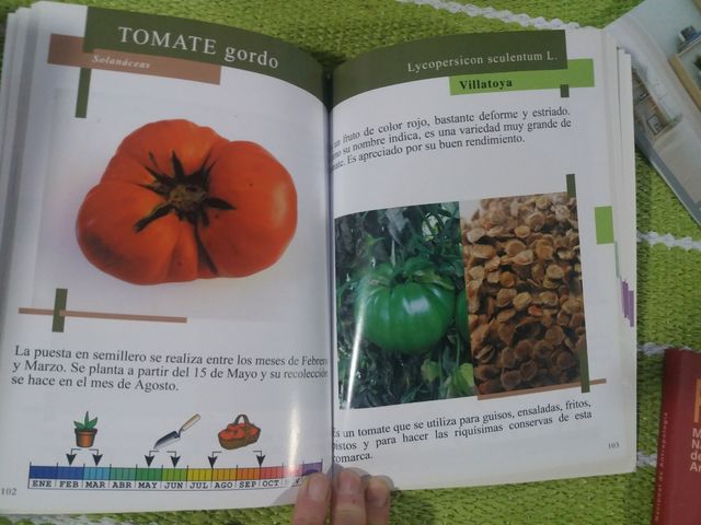 Semillas Variedades locales de la huerta