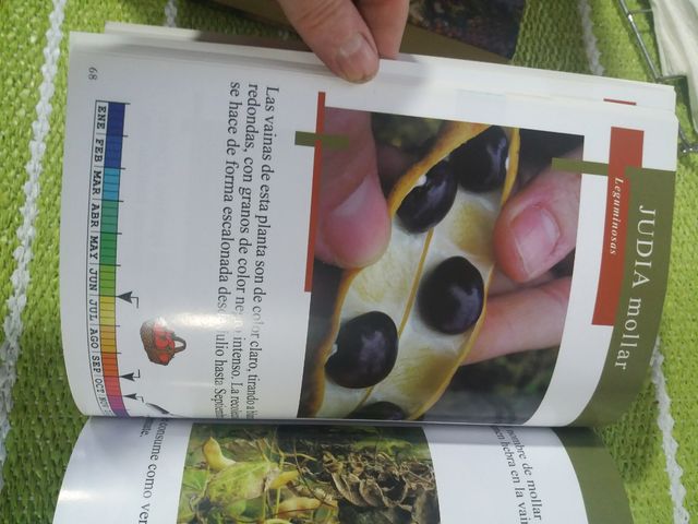 Semillas Variedades locales de la huerta