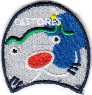 Lote insignia scout castores Scouts de España